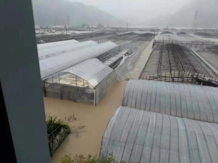 臨海邵家渡最新規(guī)劃圖，未來城市發(fā)展的藍圖，臨海邵家渡最新規(guī)劃圖揭秘，未來城市發(fā)展的宏偉藍圖