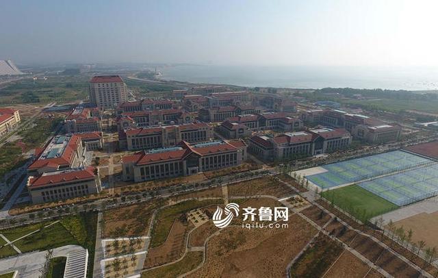 山大青島校區(qū)最新消息全面解讀，山大青島校區(qū)最新動(dòng)態(tài)全面解讀