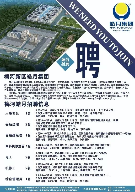 梅河招聘網(wǎng)最新招聘動(dòng)態(tài)深度解析，梅河招聘網(wǎng)最新招聘動(dòng)態(tài)深度解析及解讀
