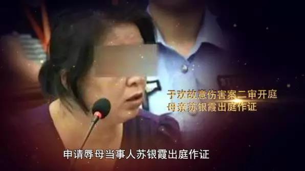 辱母殺人案最新情況深度解析，辱母殺人案最新進展深度剖析