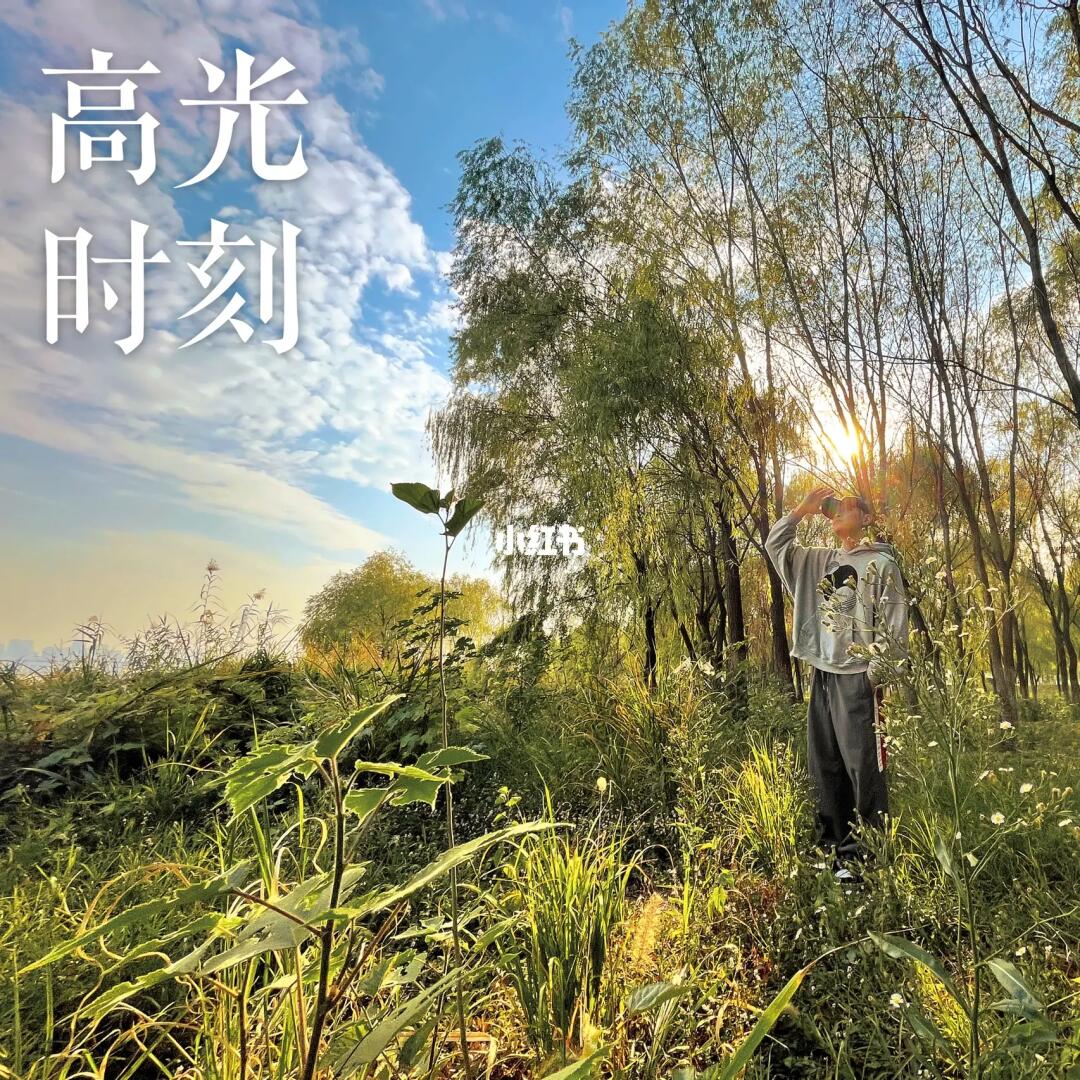 高光時刻的含義與影響，高光時刻，定義、影響及重要性解析