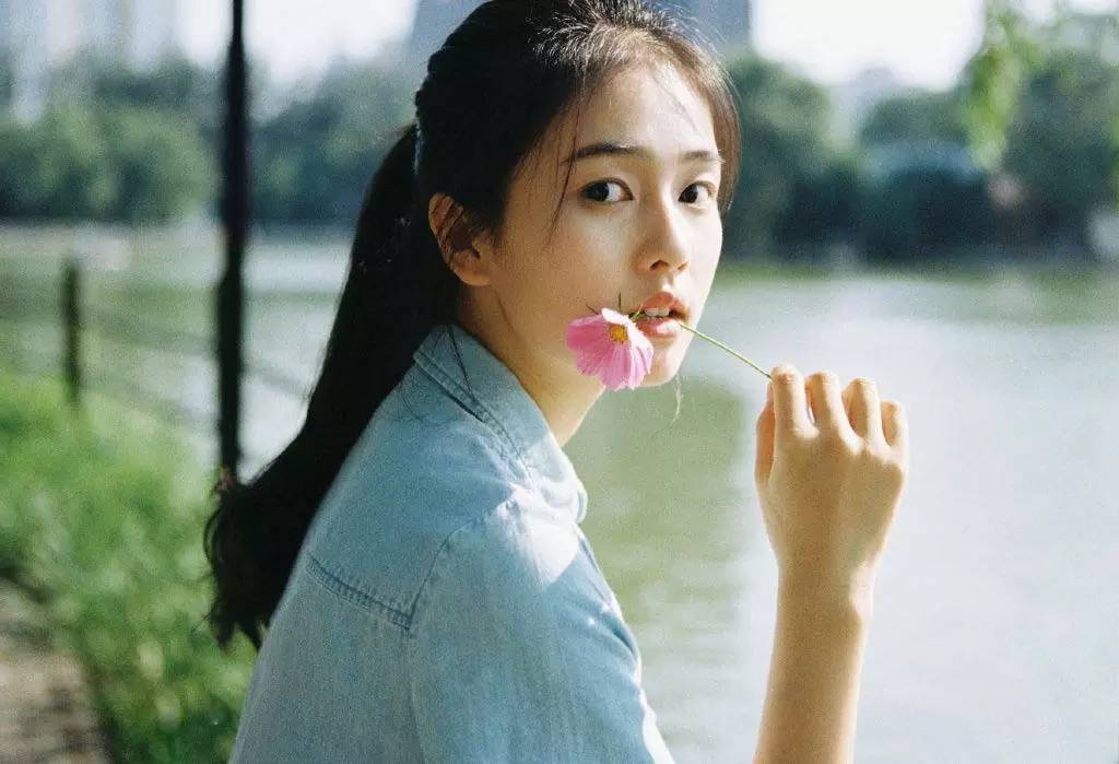 白鹿，自然與文化的交融之美，白鹿，自然與文化交融之美的獨特展現(xiàn)