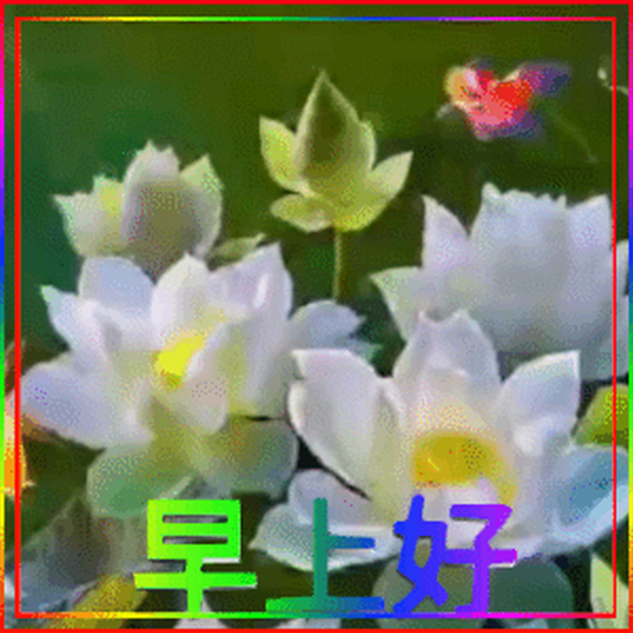 最新早上好的動(dòng)態(tài)圖，喚醒你的美好一天，早上好動(dòng)態(tài)圖，開(kāi)啟美好一天的新篇章