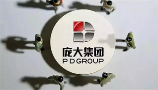 龐大集團最新消息新聞，龐大集團最新消息新聞綜述