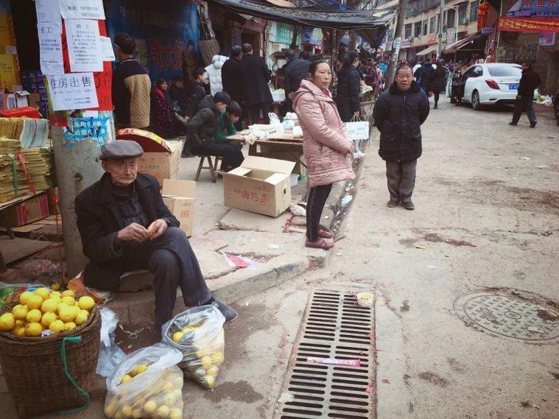 深圳臨聘教師最新消息全面解讀，深圳臨聘教師最新消息全面解讀與解析