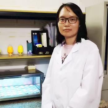 科恒股份股票最新消息全面解讀，科恒股份股票最新消息全面解讀與分析