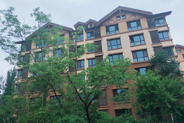 關(guān)于由山由谷的最新消息，山由谷最新動態(tài)報道速遞