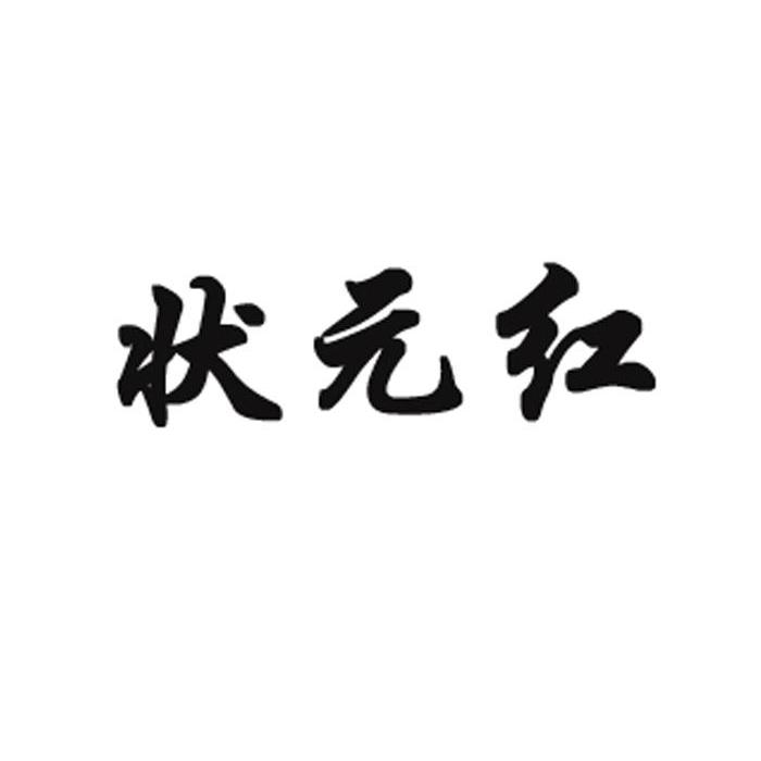 狀元紅論壇——資料中心的深度探索與體驗，狀元紅論壇，資料中心的深度探索與沉浸式體驗