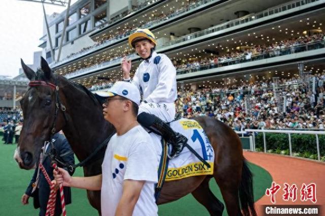 香港特馬王資料免費(fèi)公開(kāi)背后的真相與警示，香港特馬王資料免費(fèi)公開(kāi)背后的真相及警示探究