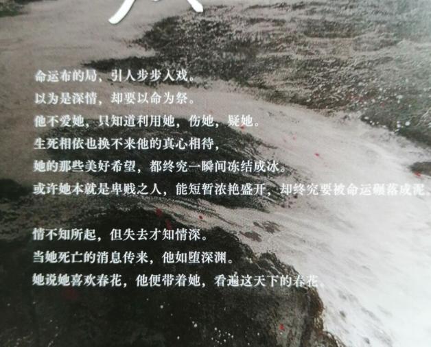 春花焰，一部展現(xiàn)青春與熱血的電視劇佳作，春花焰，青春熱血的電視劇之旅