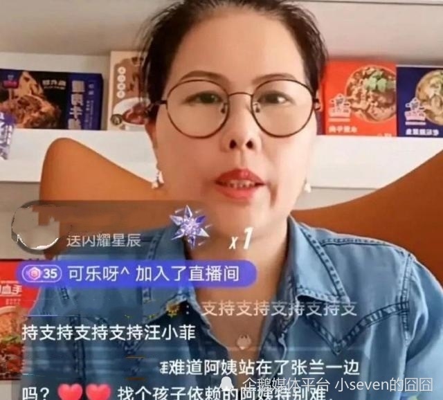 麥琳前保姆爆料，揭開不為人知的秘密，麥琳前保姆揭秘，不為人知的秘密曝光