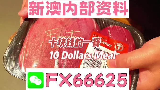 新澳精準(zhǔn)資料免費提供的深度解析與影響，新澳精準(zhǔn)資料免費提供的深度解析及其影響
