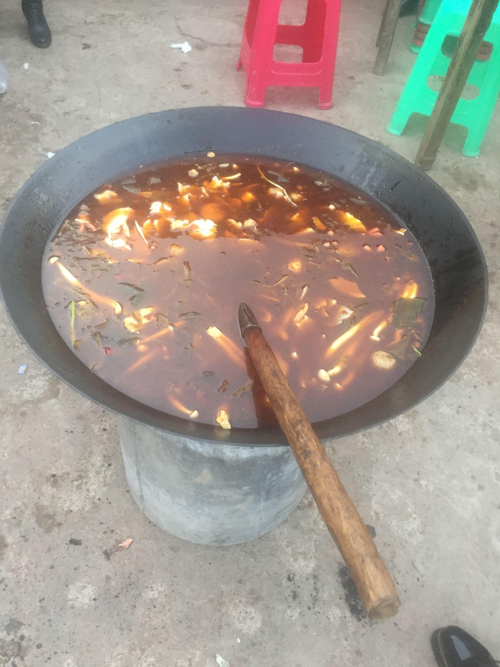 長江網(wǎng)紅小島驚現(xiàn)大野豬熱潮，生態(tài)、旅游與網(wǎng)絡的交融，長江網(wǎng)紅小島大野豬熱潮，生態(tài)、旅游與網(wǎng)絡的交融奇跡