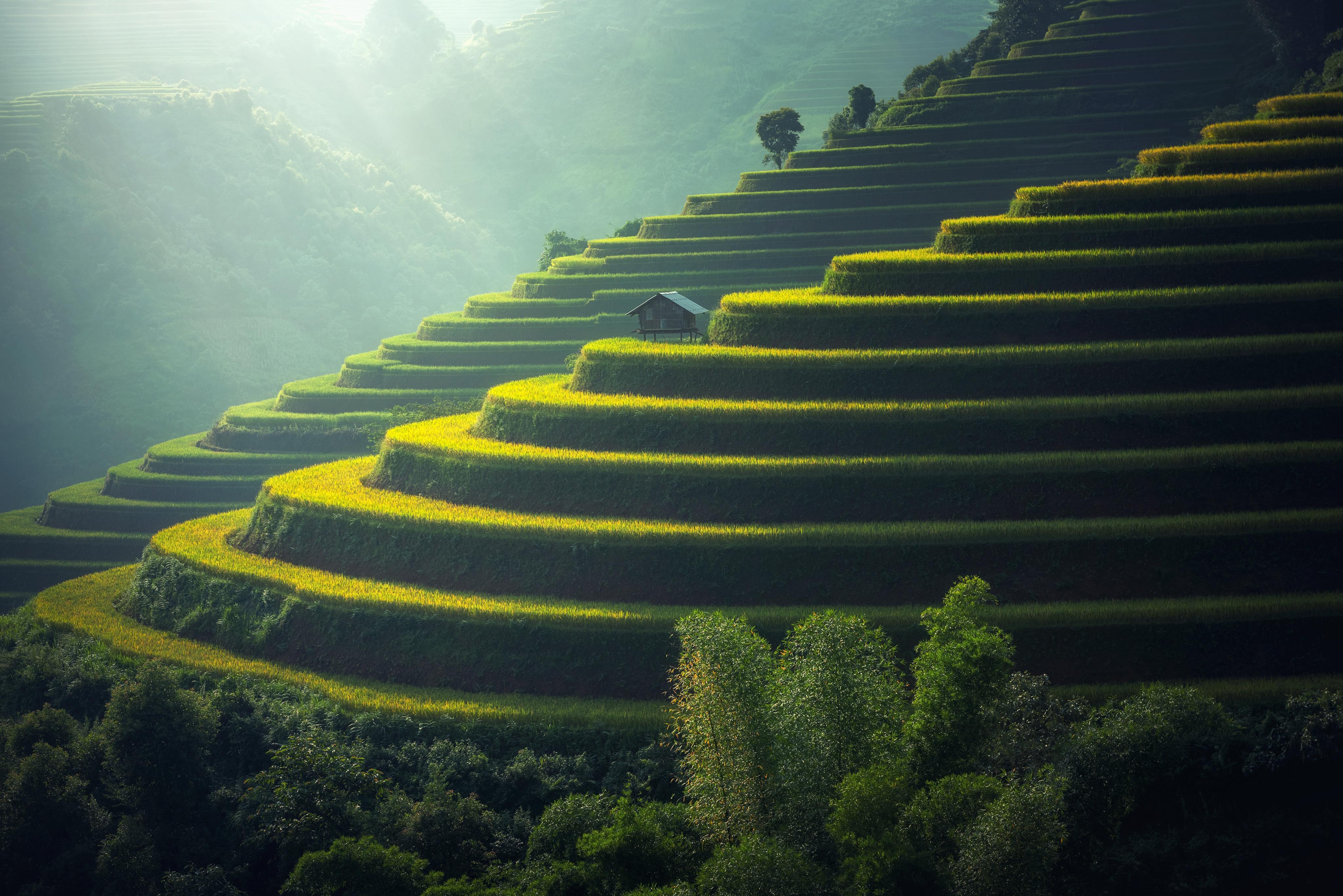 新澳最精準(zhǔn)最精準(zhǔn)的龍門客棧，新澳龍門客棧，最精準(zhǔn)的特色住宿指南