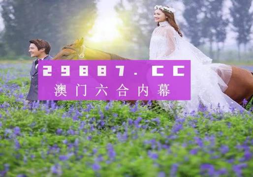 香港免費(fèi)資料王中王資料,實踐調(diào)查解析說明_Max57.825
