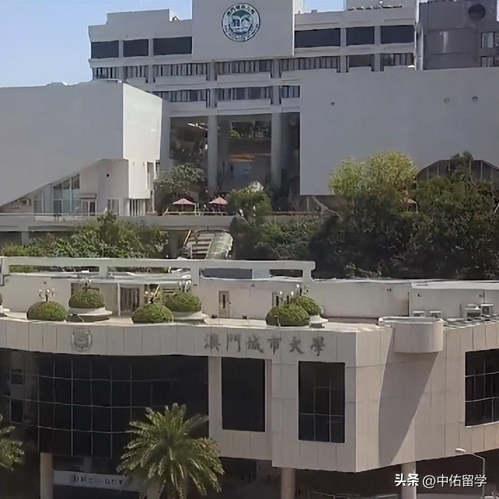 2024新澳門天天開好彩大全正版,實際數(shù)據(jù)說明_W81.951