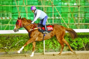 關(guān)于澳門特馬今晚開獎的討論與警示——警惕違法犯罪風(fēng)險，澳門特馬今晚開獎討論背后的風(fēng)險警示，警惕違法犯罪陷阱
