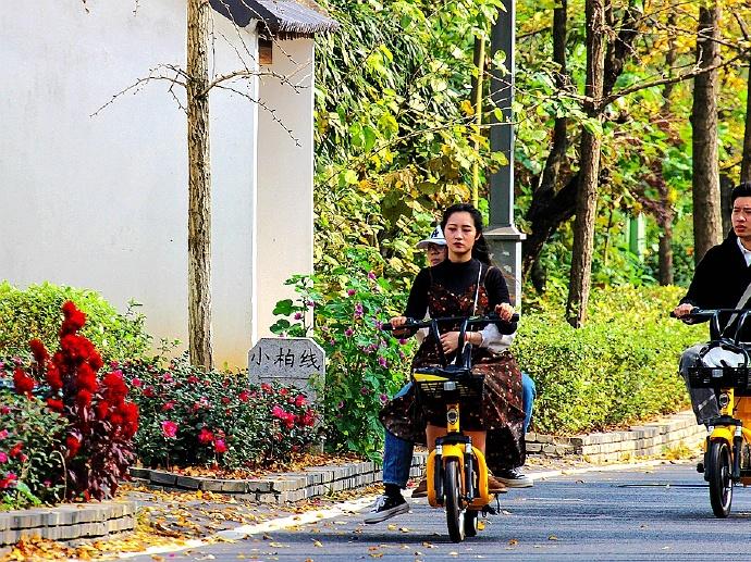 長(zhǎng)興公交車(chē)路線最新動(dòng)態(tài)與改進(jìn)，長(zhǎng)興公交車(chē)路線最新動(dòng)態(tài)及改進(jìn)概覽