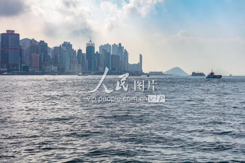 香港上期開獎結(jié)果深度解析，香港上期開獎結(jié)果全面深度解析