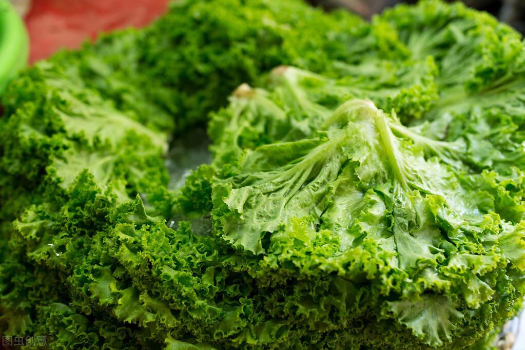 豆角價格最新消息，市場動態(tài)與影響因素分析，豆角價格動態(tài)，最新消息與市場影響因素分析