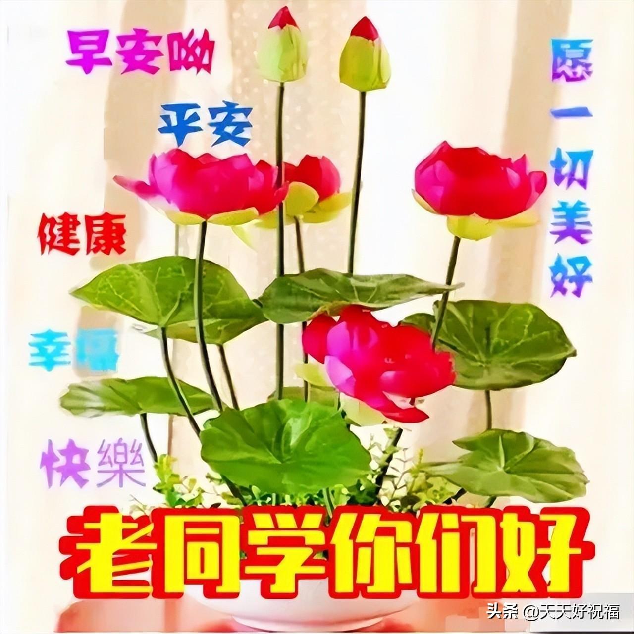 早安的最新問候語句，開啟美好的一天，早安問候語句，開啟美好一天之旅