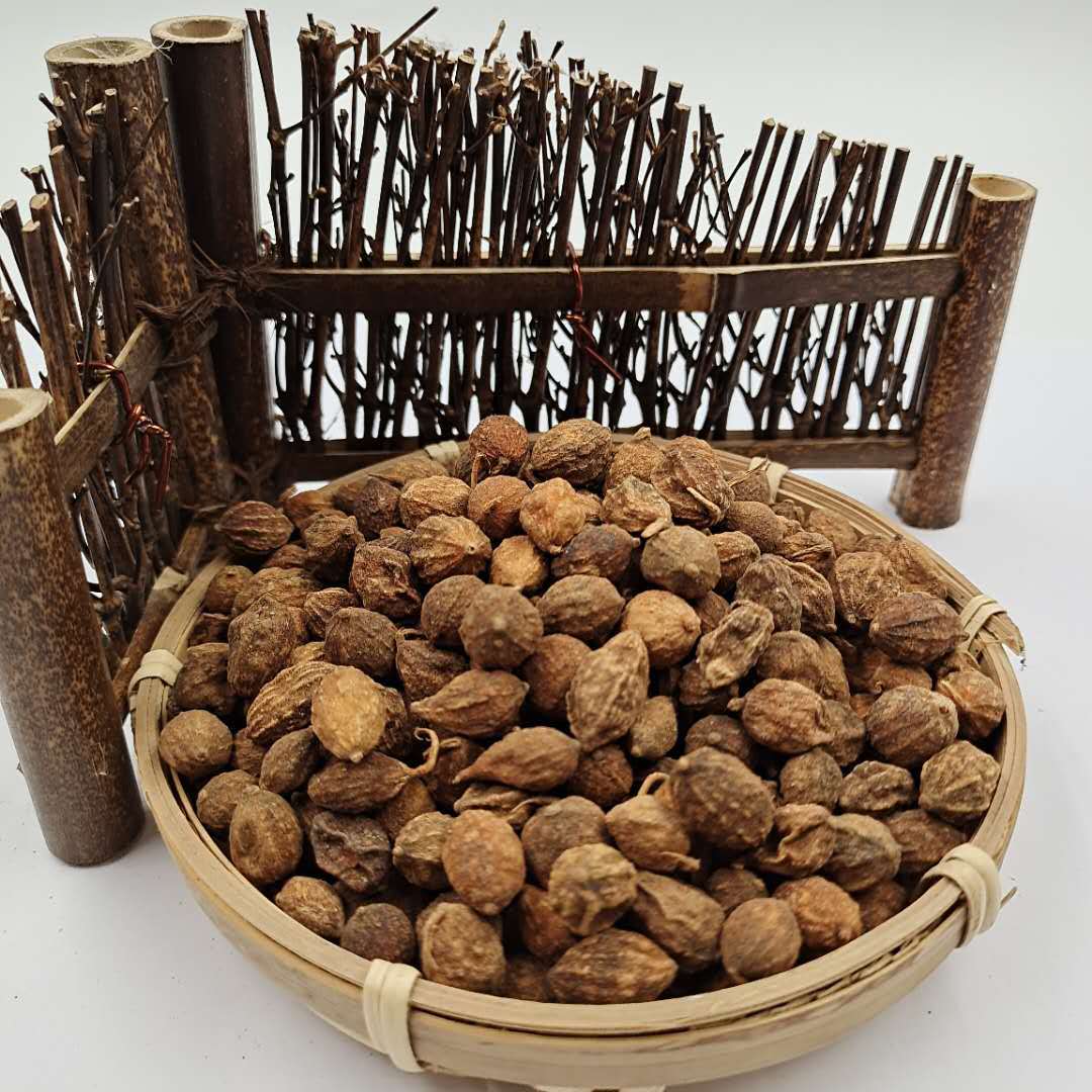 最新益智仁價(jià)格動(dòng)態(tài)分析，益智仁價(jià)格最新動(dòng)態(tài)分析