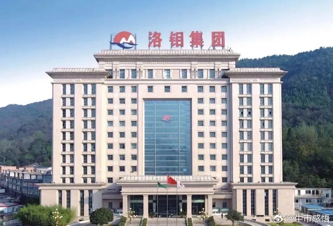 洛陽鉬業(yè)，深度解析其表現(xiàn)與前景，洛陽鉬業(yè)表現(xiàn)與前景深度解析