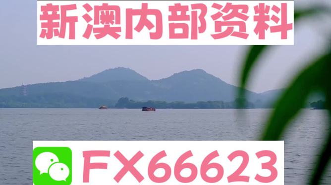 關于2024新澳精準資料大全的探討——警惕違法犯罪風險，警惕風險，關于2024新澳精準資料大全的探討與犯罪預防