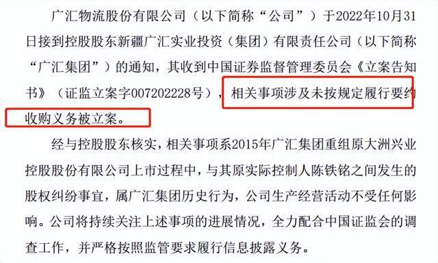 新疆廣匯背后的大佬，揭秘一位商業(yè)巨頭的傳奇故事，揭秘新疆廣匯背后的商業(yè)巨頭傳奇故事