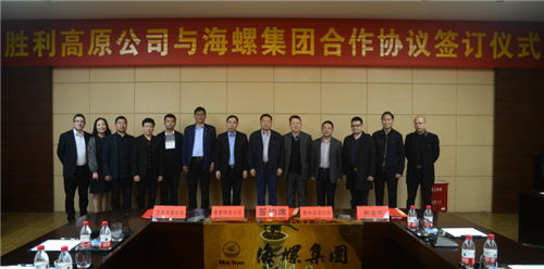 海螺集團(tuán)，一個(gè)優(yōu)秀單位的深度解析，海螺集團(tuán)，優(yōu)秀單位的全面深度解析