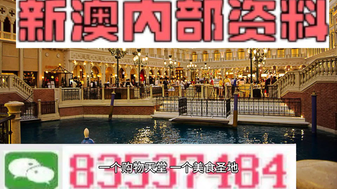 澳門內(nèi)部資料精準(zhǔn)大全2023，警惕違法犯罪風(fēng)險，澳門內(nèi)部資料精準(zhǔn)大全2023，警惕違法犯罪風(fēng)險提醒