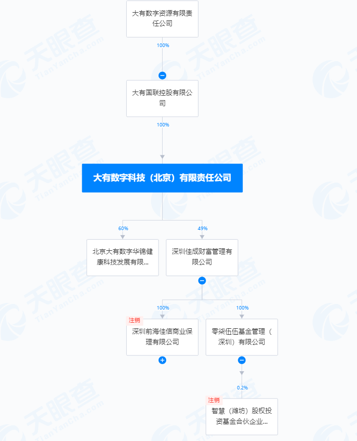大聯(lián)大旗下子公司的多元發(fā)展與戰(zhàn)略布局，大聯(lián)大旗下子公司多元發(fā)展與戰(zhàn)略布局揭秘