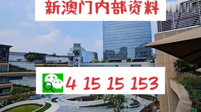 關(guān)于新澳門(mén)天天資料的探討與警示——警惕違法犯罪問(wèn)題，澳門(mén)天天資料的探討與警示，警惕違法犯罪風(fēng)險(xiǎn)