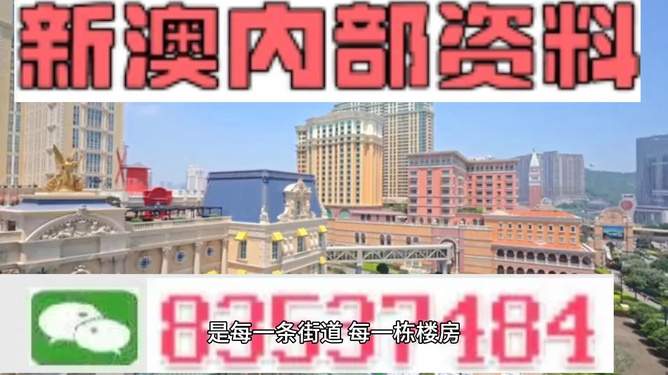 新澳門最精準正最精準龍門——揭示犯罪背后的真相，澳門犯罪真相揭秘，最精準龍門行動出擊點
