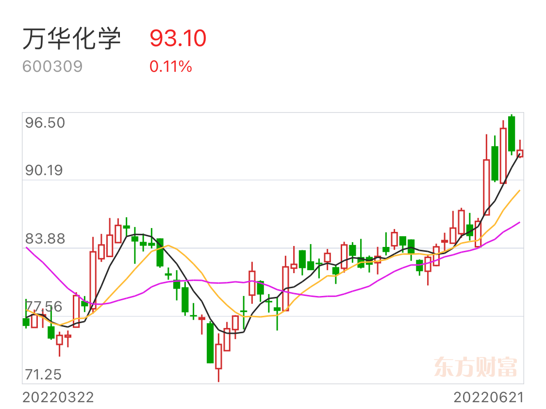 張雪峰視角下的萬華化學(xué)，深度解析與前瞻評價，張雪峰視角下的萬華化學(xué)，深度解析與未來前瞻評價