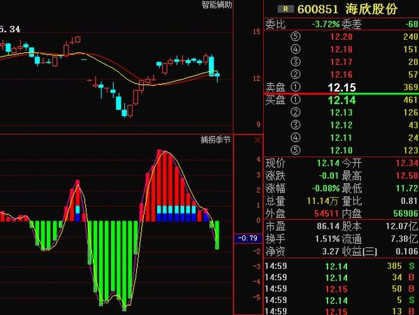 海欣股份借殼，企業(yè)擴(kuò)張的新路徑探索，海欣股份借殼，企業(yè)擴(kuò)張新路徑探索
