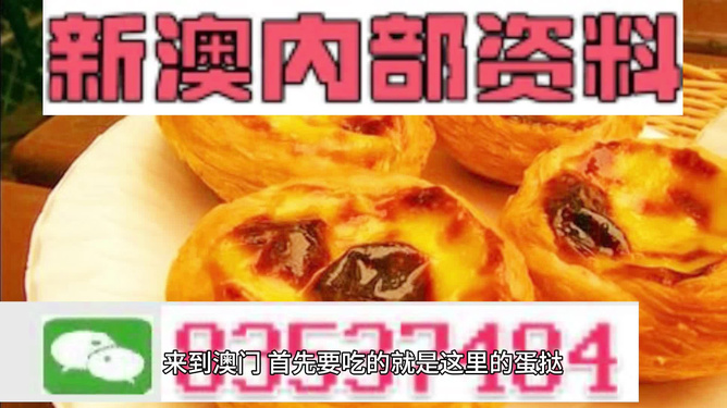 關(guān)于新澳門資料大全正版資料2024年免費(fèi)下載的探討——警惕違法犯罪風(fēng)險(xiǎn)，關(guān)于新澳門資料大全正版資料的探討，警惕免費(fèi)下載背后的違法犯罪風(fēng)險(xiǎn)（2024年）