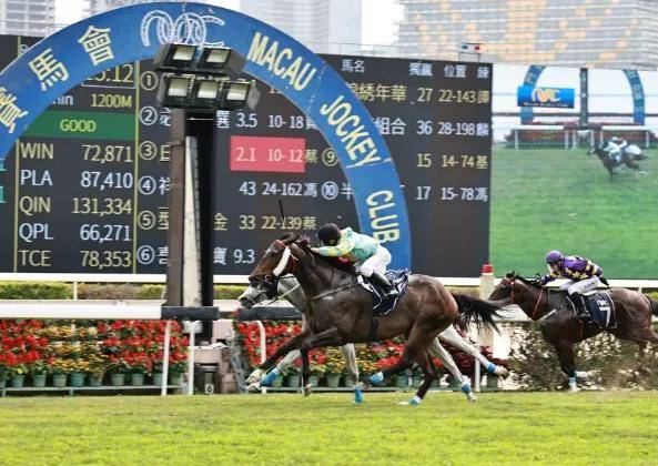 澳門天天開馬結(jié)果出來的探索與解析，澳門天天開馬結(jié)果解析與探索