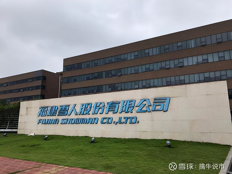 雪人股份，揭秘其業(yè)務范疇與發(fā)展軌跡，揭秘雪人股份的業(yè)務范疇與發(fā)展軌跡