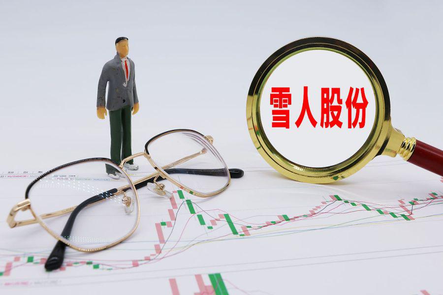 雪人股份，收購(gòu)風(fēng)云再起，未來(lái)走向引人矚目，雪人股份收購(gòu)再起風(fēng)云，未來(lái)發(fā)展走向備受矚目