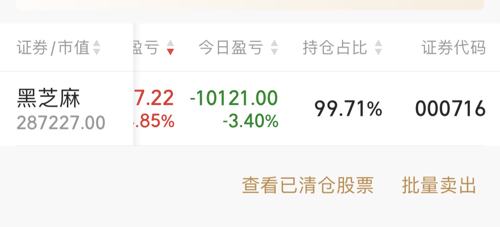 黑芝麻股票值得長期持有嗎？深度解析與前景展望，黑芝麻股票長期持有價值深度解析與前景展望