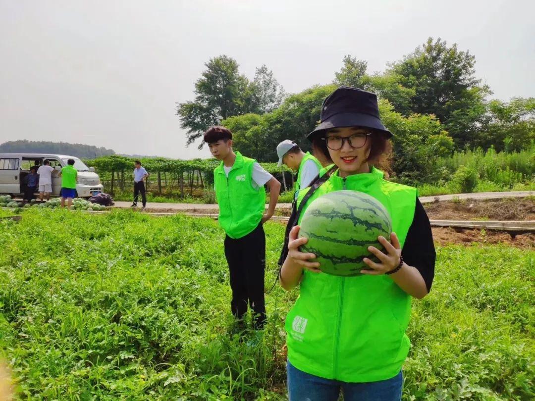 先鋒電子股票股吧，投資熱點(diǎn)與未來展望，先鋒電子股票股吧，投資熱點(diǎn)及未來展望分析