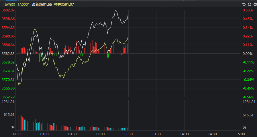 浙大網(wǎng)新股價(jià)下跌5.01%，深度分析與展望，浙大網(wǎng)新股價(jià)下跌5.01%，深度分析原因及未來展望