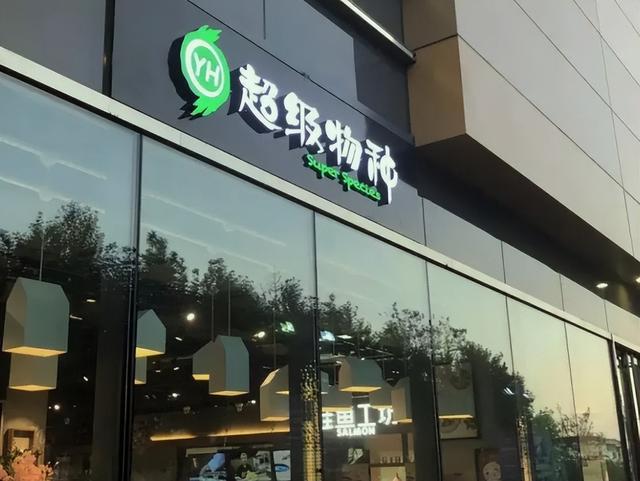 永輝超市，未來(lái)超級(jí)牛股的潛力展望，永輝超市，未來(lái)超級(jí)牛股的潛力展望與前景分析