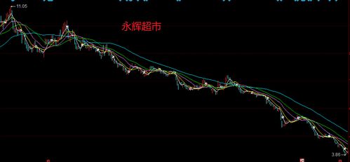 永輝超市股票未來走勢分析，永輝超市股票未來走勢展望，深度解析與預(yù)測