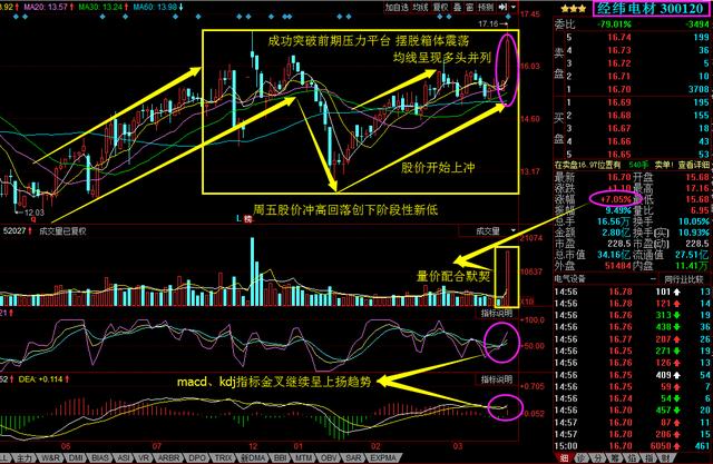 即將暴漲的黑馬股票，市場的新寵兒，黑馬股票新星，市場新寵兒即將暴漲