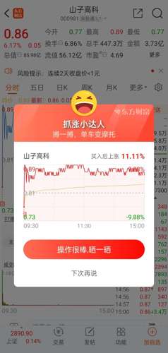 山子高科，瞄準(zhǔn)目標(biāo)價100元，邁向科技新紀(jì)元，山子高科，瞄準(zhǔn)100元目標(biāo)，邁向科技新紀(jì)元
