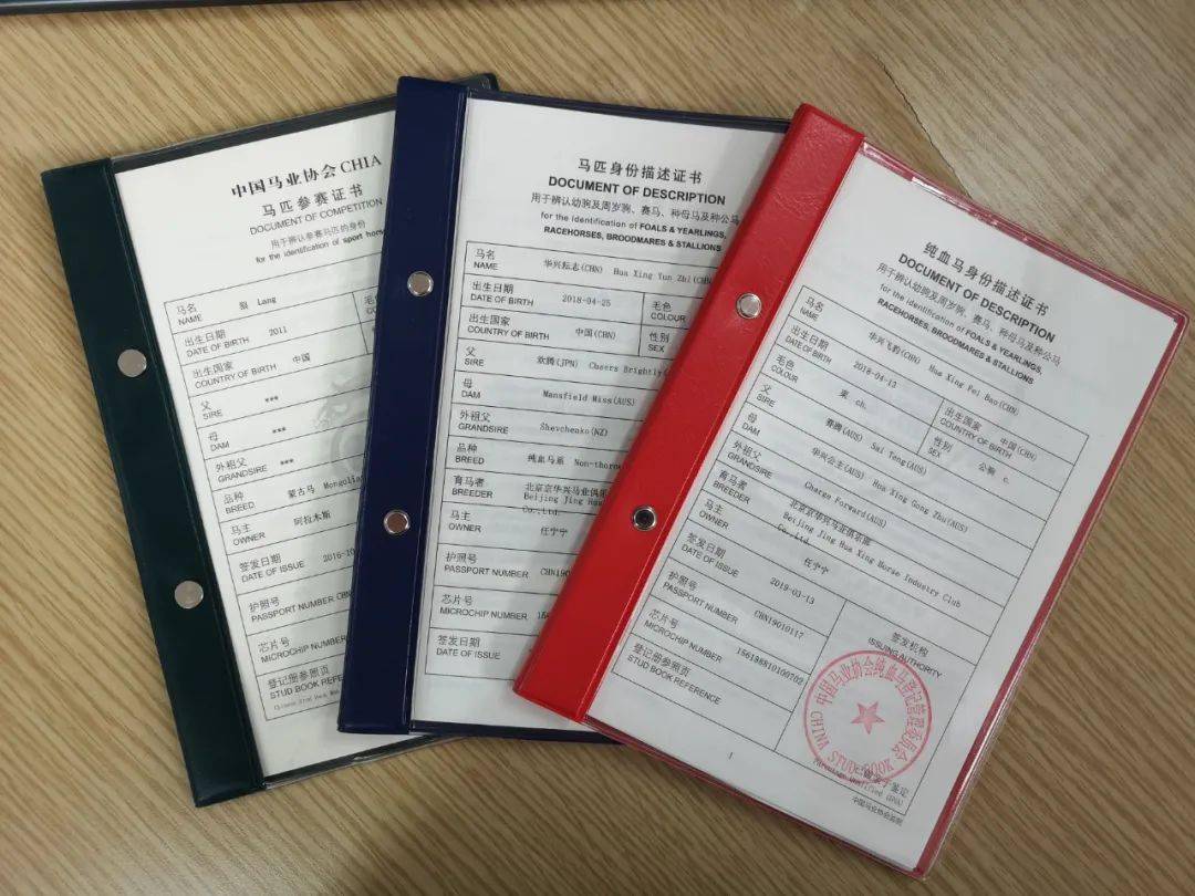 揭秘精準馬會傳真圖背后的秘密，解讀數字與圖像交織的奧秘，揭秘精準馬會傳真圖背后的數字與圖像奧秘