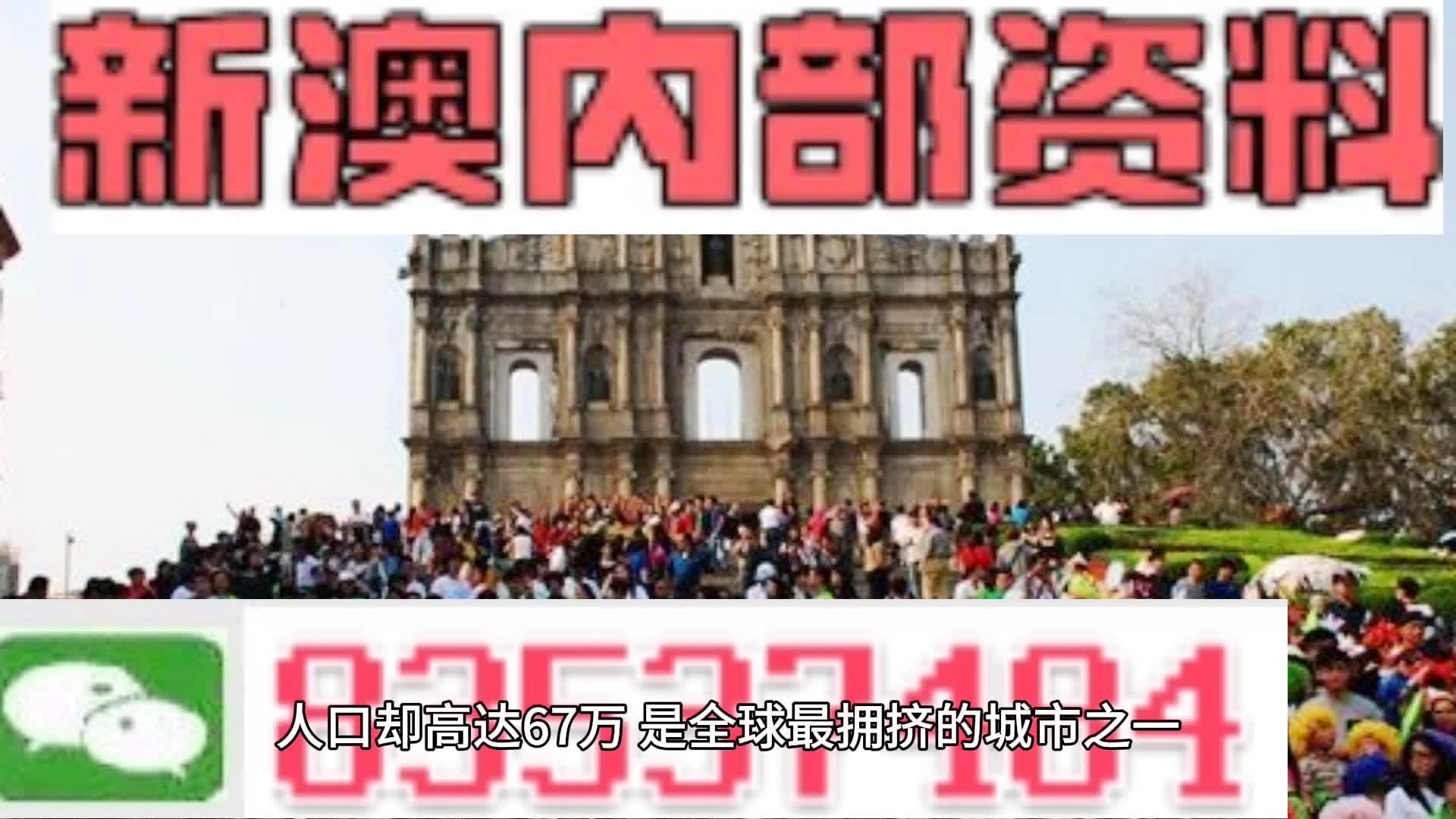 新澳門免費(fèi)全年資料查詢，探索與解讀，澳門資料查詢背后的犯罪真相探索與解讀