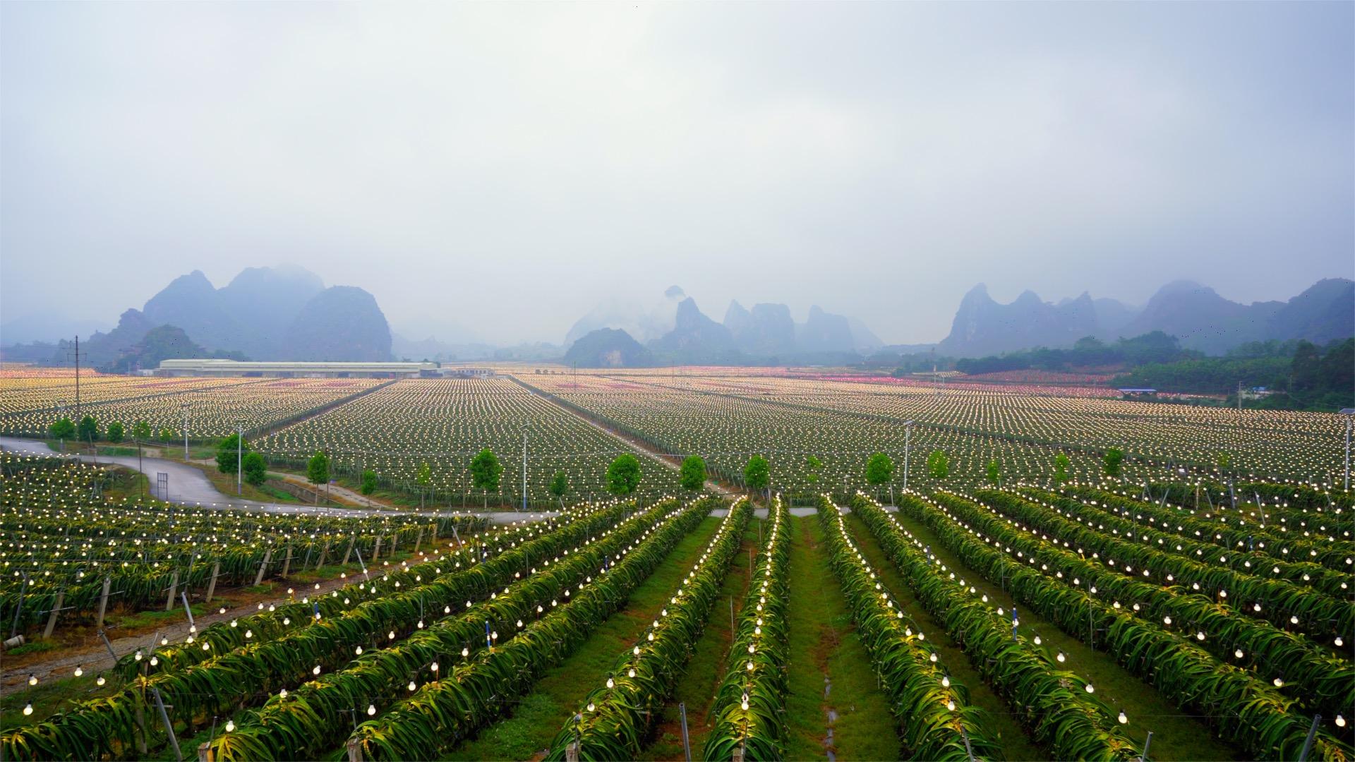 智慧農(nóng)業(yè)的未來(lái)藍(lán)圖，邁向2025的目標(biāo)與價(jià)值展望，智慧農(nóng)業(yè)邁向2025，未來(lái)藍(lán)圖與價(jià)值展望